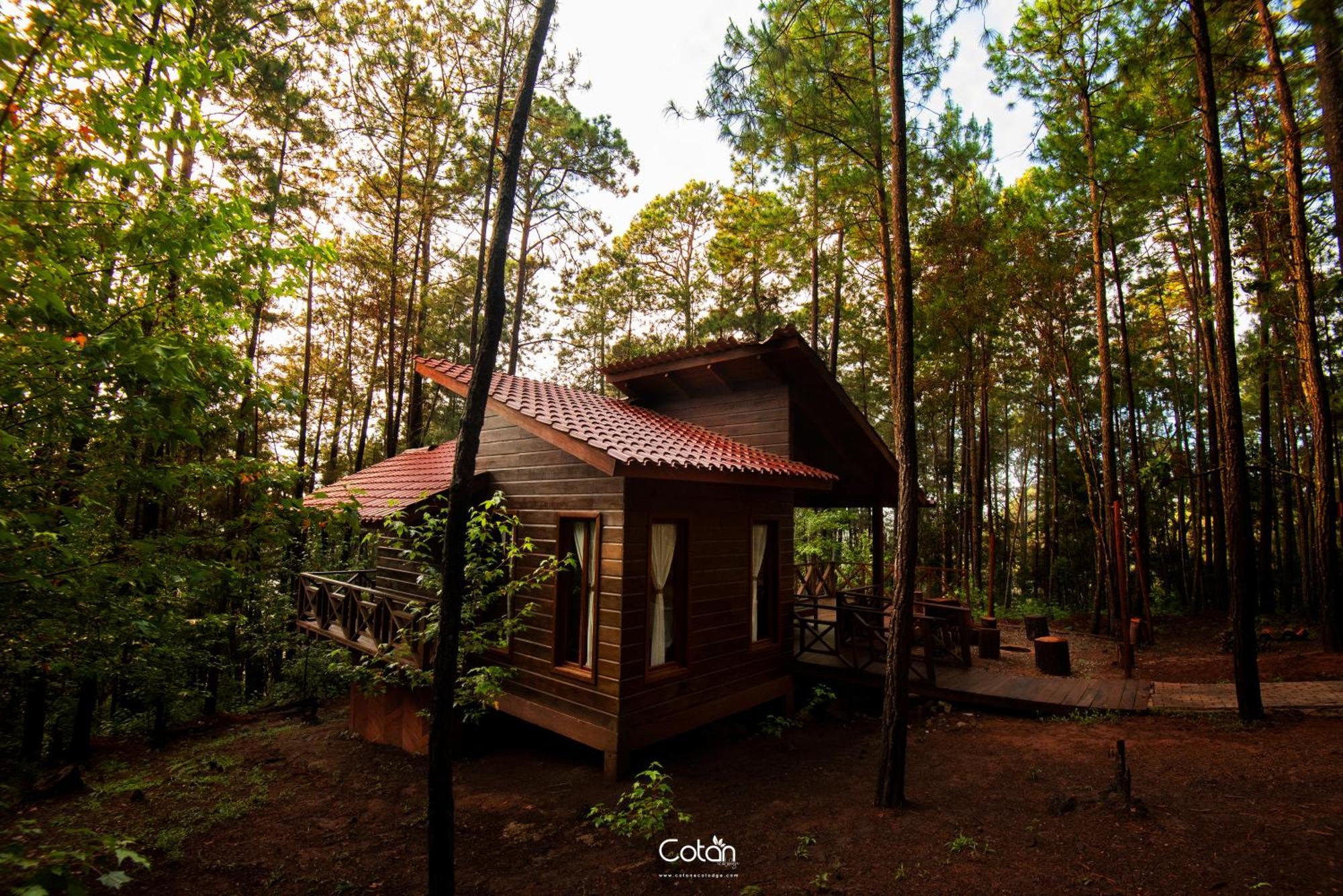 Cotan Ecolodge La Esperanza Esterno foto